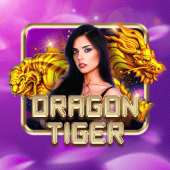 jl777 Dragon Tiger live casino game